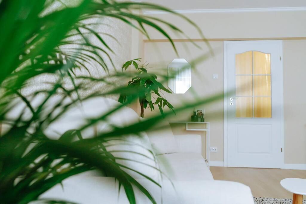 Appartamento Elegant Vibes Next To Obor Market